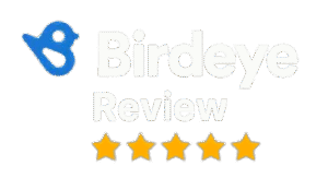 Birdeye Review